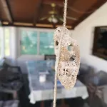 Gostinjska kuća Casa Segota