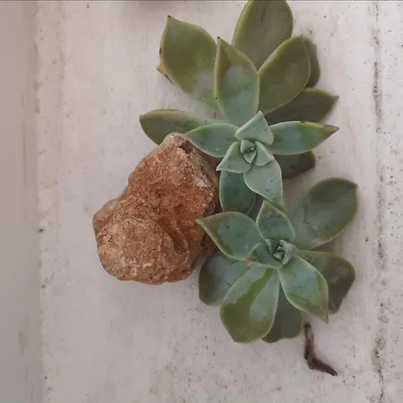 Casa Segota Penzion 4*