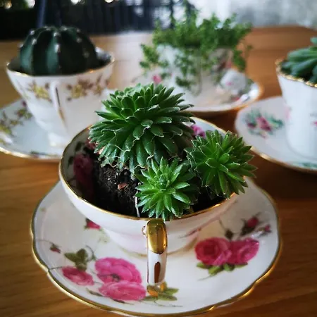 Penzion Casa Segota 4*