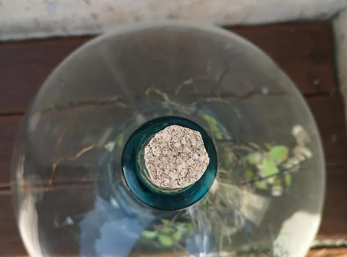 Gæstehus Casa Segota Veli Iž