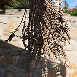 Casa Segota 4* Veli Iž