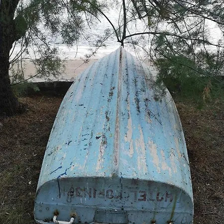 Vendégház Casa Segota 4*