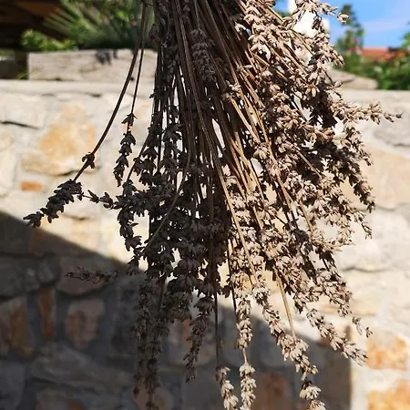 Casa Segota 4* Veli Iž