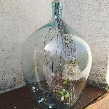 Casa Segota 4* Veli Iž