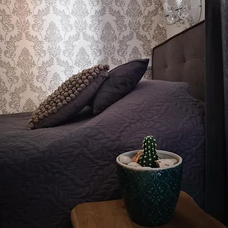 Casa Segota 4* Veli Iž