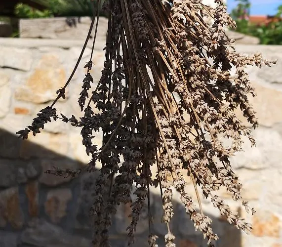 Casa Segota 4* Veli Iž