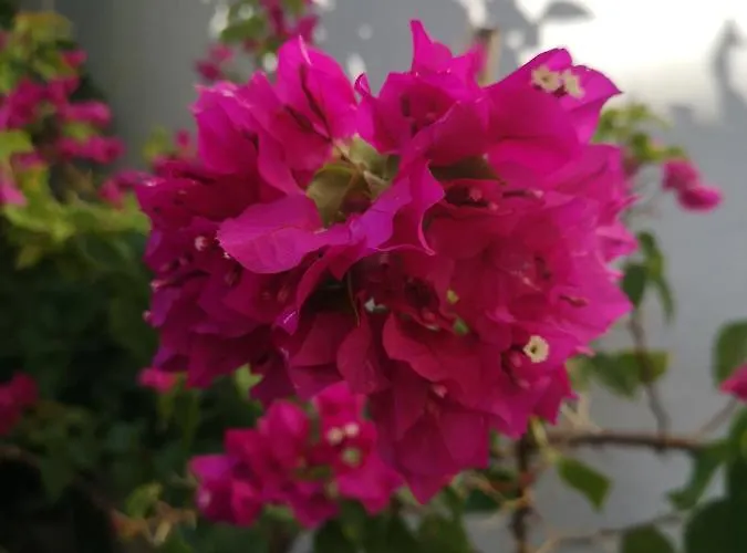 Casa Segota Veli Iž