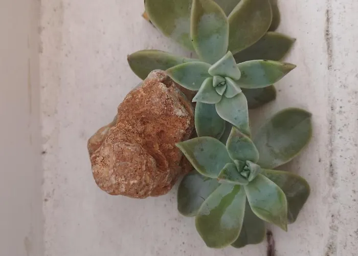 Casa Segota Affittacamere 4*