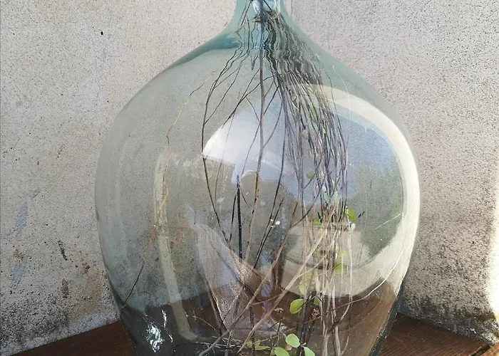 Casa Segota 4* Veli Iž