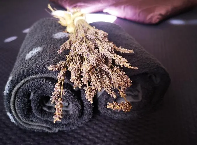 Affittacamere Casa Segota Veli Iž