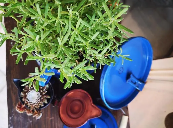 Affittacamere Casa Segota 4*