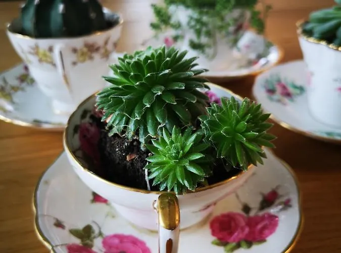 Affittacamere Casa Segota 4*