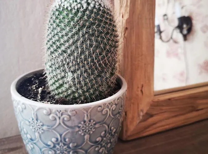 Affittacamere Casa Segota